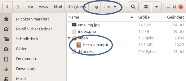 A video in Ubuntu’s file manager